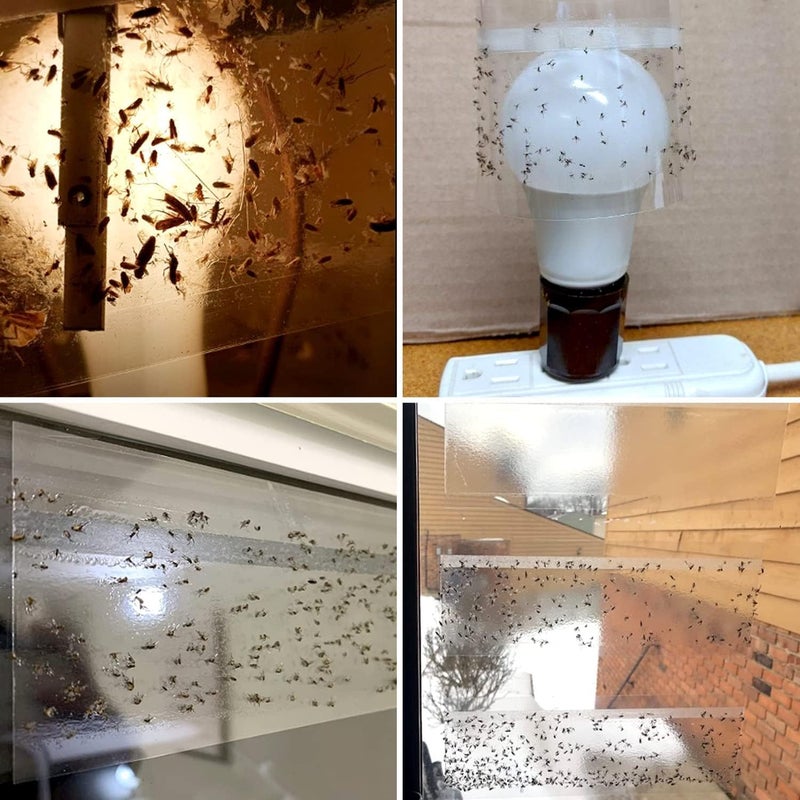LFSYS 100 Pack Window Fly Trap, Fruit Fly Traps for Indoors, Fly Paper Sticky Strips, Fly Traps for Indoors Bug Catcher Clear - Image 5